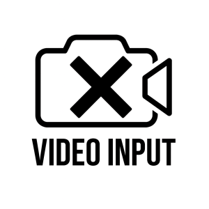 Video Input